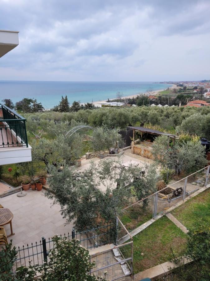 Cozy Apartment Fantastic View نيا موذانيا المظهر الخارجي الصورة
