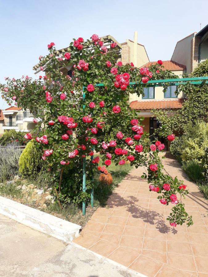 Cozy Apartment Fantastic View نيا موذانيا المظهر الخارجي الصورة